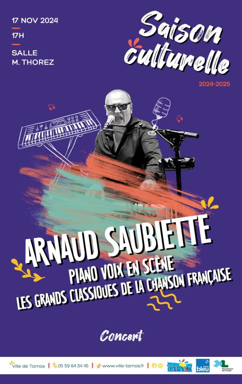 Arnaud Saubiette en concert