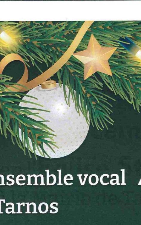concert de l'ensemble vocal Aéolia de Tarnos à l'église St Vincent à 17h dimanche 3 décembre