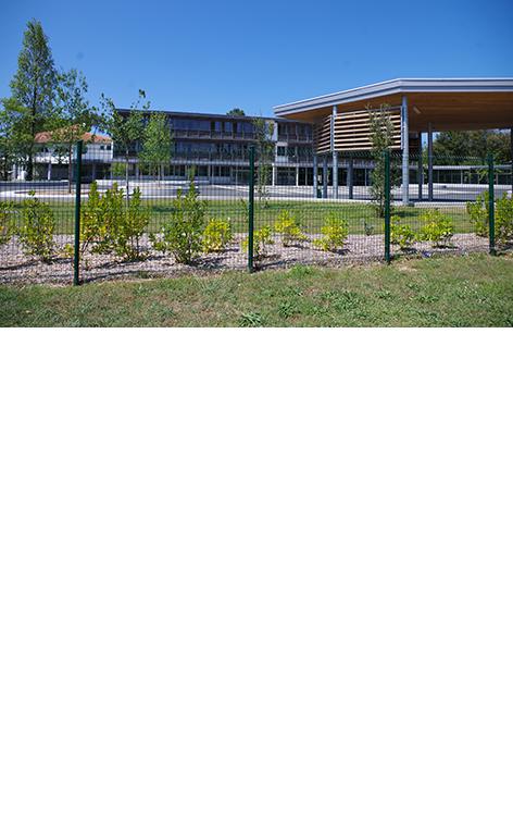 Délégués FCPE des parents d'élèves Collège Langevin Wallon
