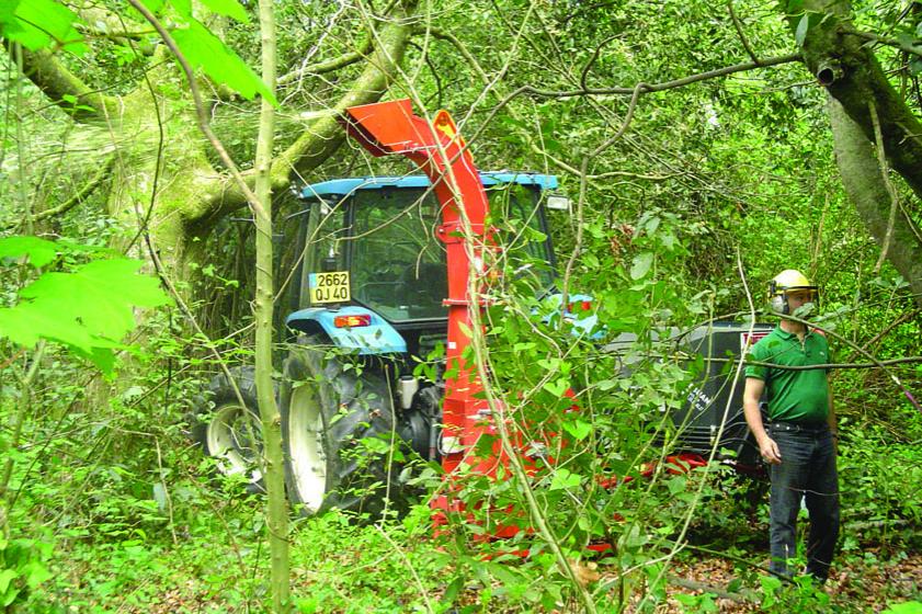 Travaux de réhabilitation du parc de Castillon. 2006, Ville de Tarnos 