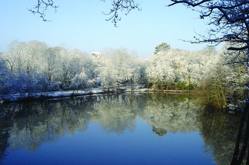 Vue sur le lac. 2007, Prêt de Monsieur Lapébie