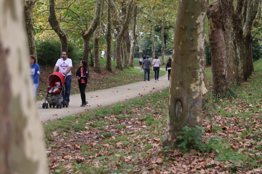 Les allées du parc réhabilitées en espace de promenade. 2015, Ville de Tarnos