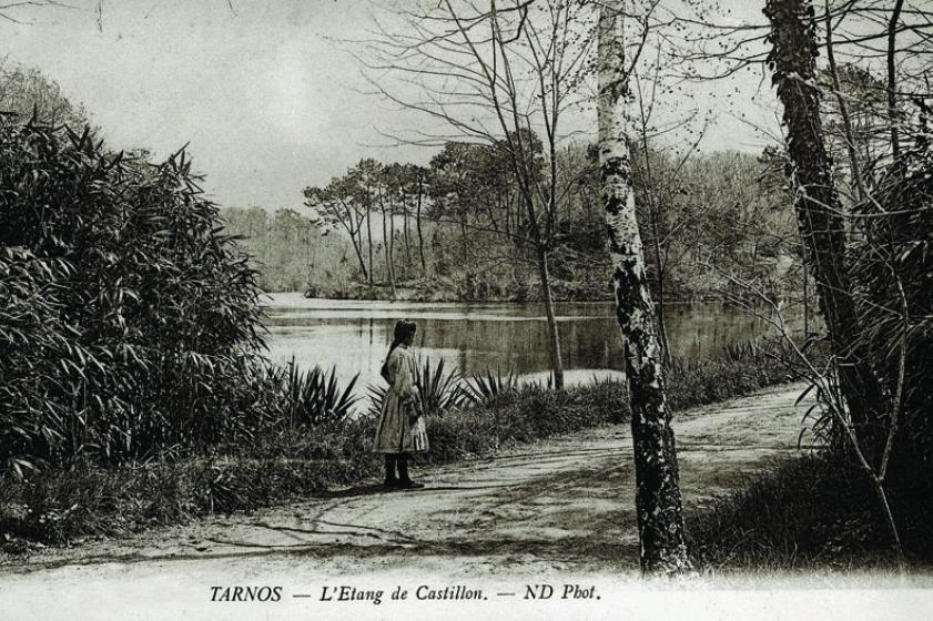 Carte postale représentant le lac de Castillon. 1926, Ville de Tarnos 