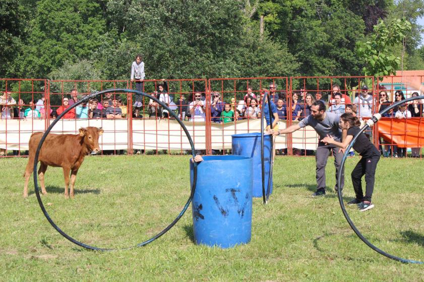 Festi'jeunes Edition 2023 Tarnos